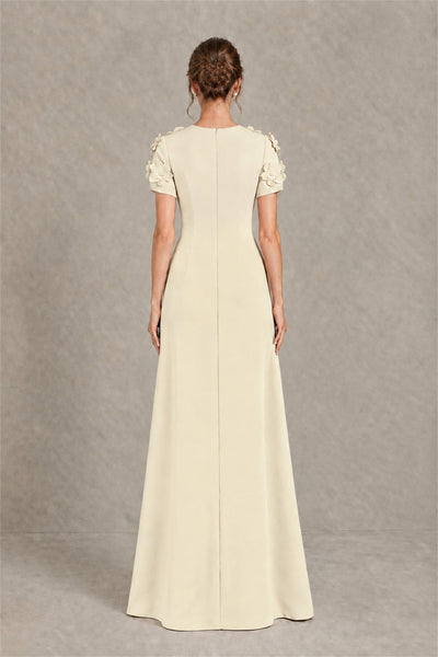 BOLODOO Champagne Textured Floral Maxi Dress with Short Sleeves - Champagne