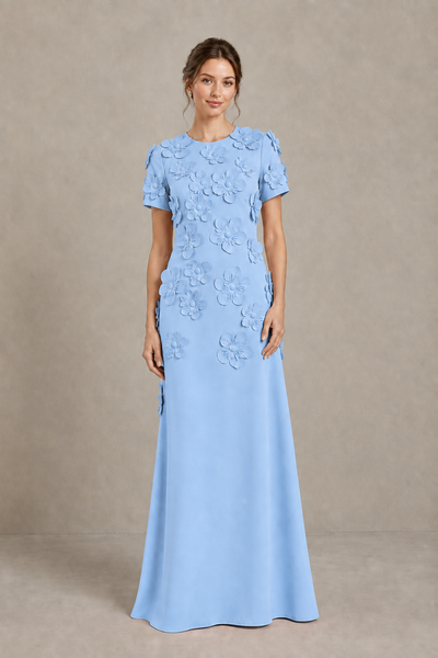 BOLODOO Light Blue Textured Floral Maxi Dress with Short Sleeves - Light Blue